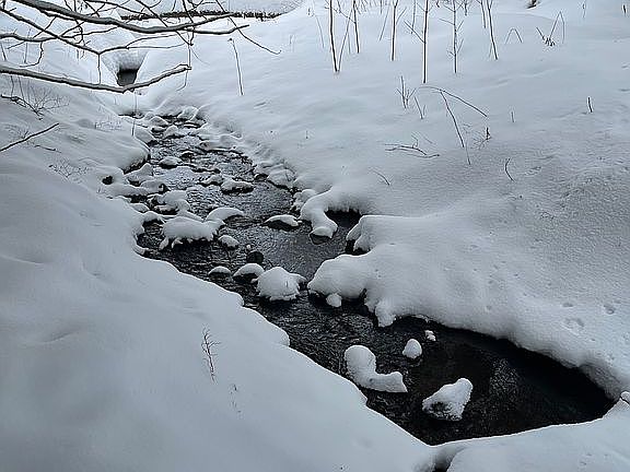 5th image of 1250 Braintree Hill Rd