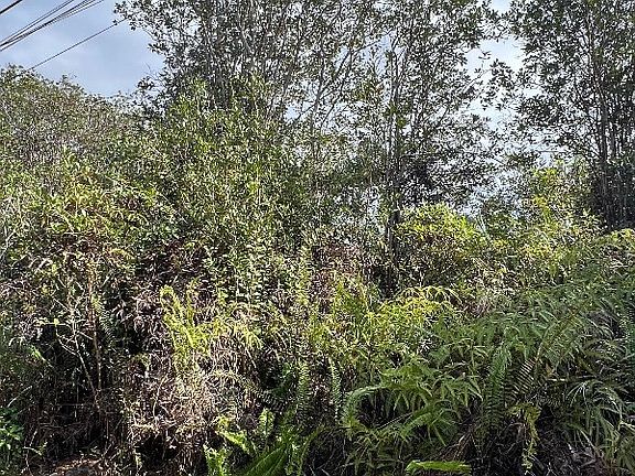 3rd image of Road 7 Opeapea Lot 4806