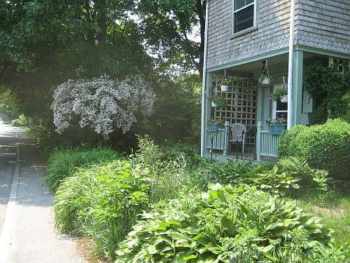 Front Door, BeautyBush, Daylillies, Hosta in June