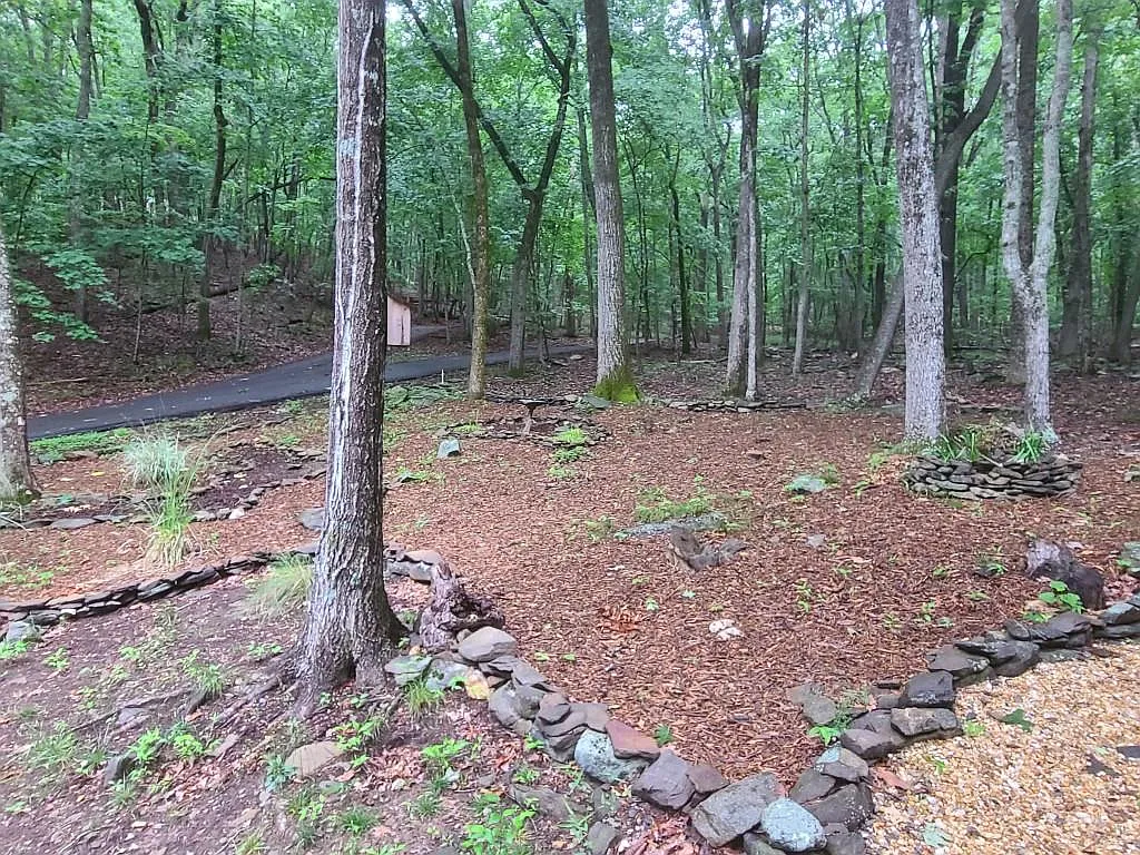 2 bed, 2.0 bath, 1620 sqft, $2,295 — Photo 3