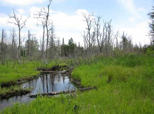 4298W Howard Rd, Gulliver, MI 49840