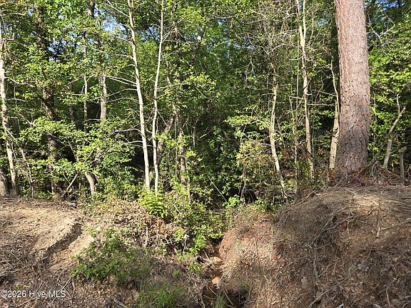 4th image of Cabins Creek Rd Lot 35-40