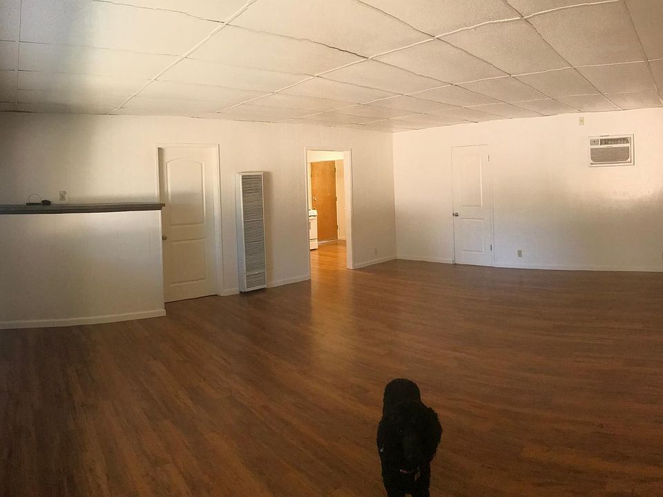 Pano of living room and Sofia my dog Large 22 X 16.5 Large window to front yard