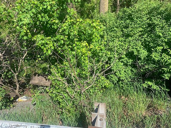 4th image of Along Grandview Rd