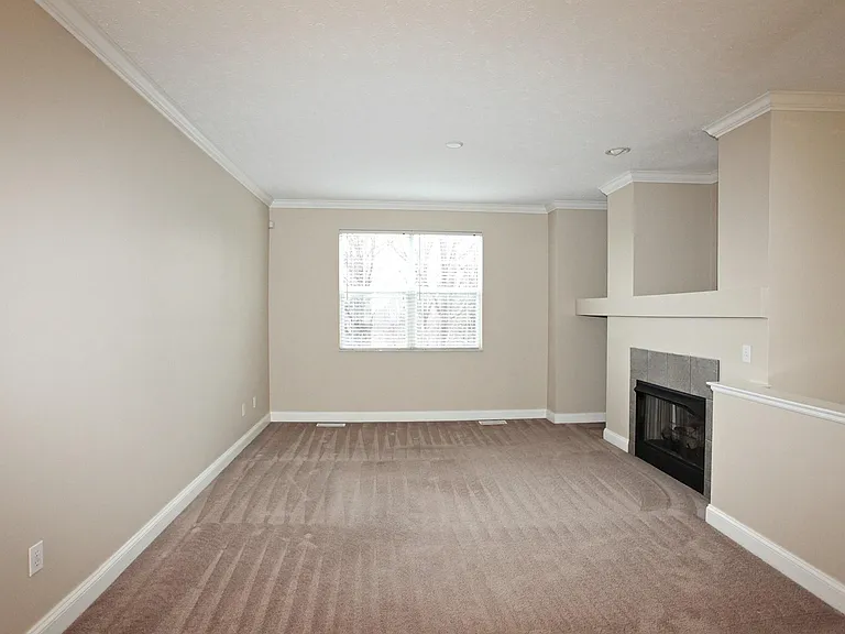 Living Area with Fireplace