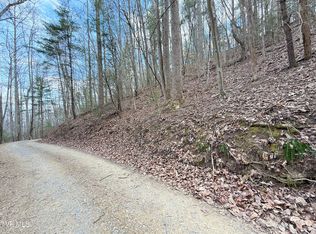 4.01 Reece Hollow Rd, Del Rio, TN 37727