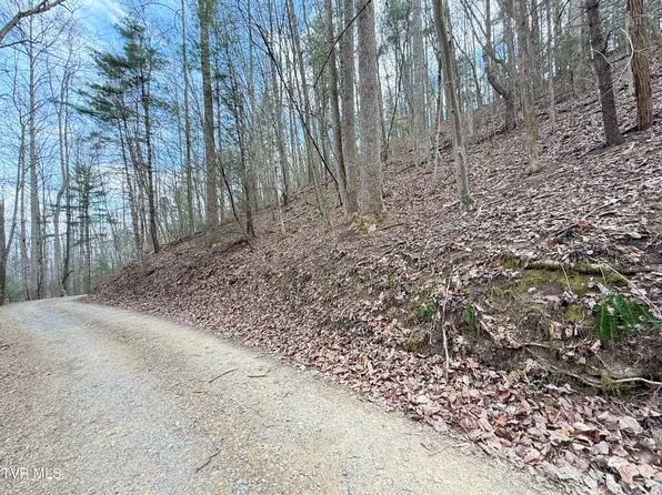 4.01 Reece Hollow Rd, Del Rio, TN 37727