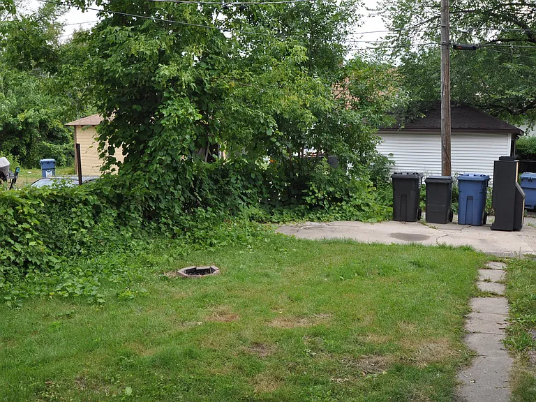 Backyard and alley