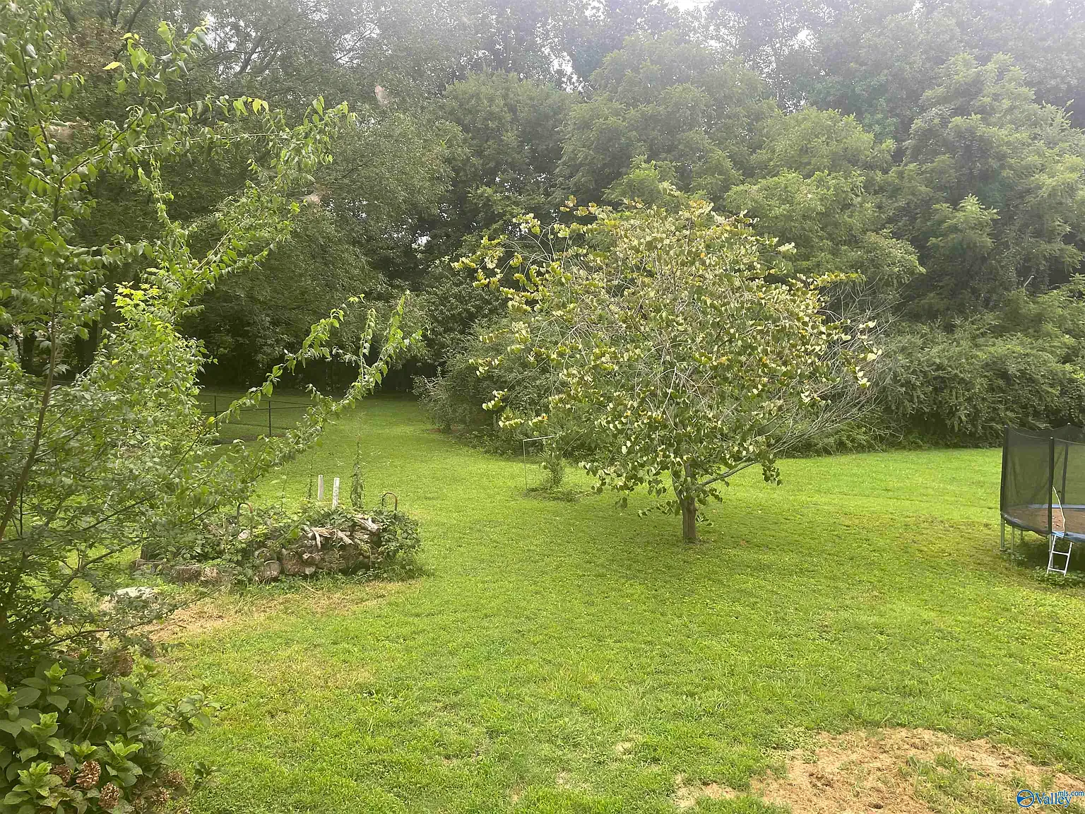 4 bed, 2.0 bath, 1600 sqft, $1,790 — Photo 3