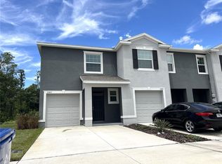 32817 Pez Landing Ln, Wesley Chapel, FL 33543