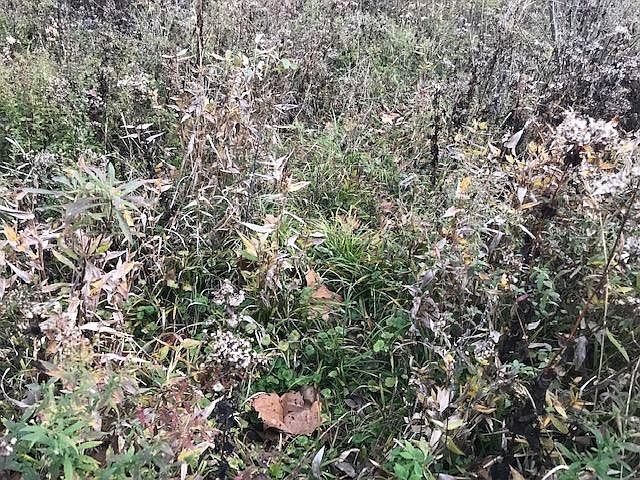 2nd image of 6100 Bridgeville Rd