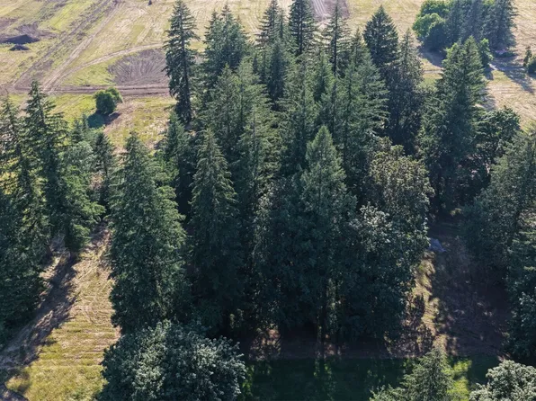 195 Bobcat Place Lot 3, Ariel, WA 98603