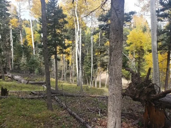 1529 Colfax Ter, Angel Fire, NM 87710