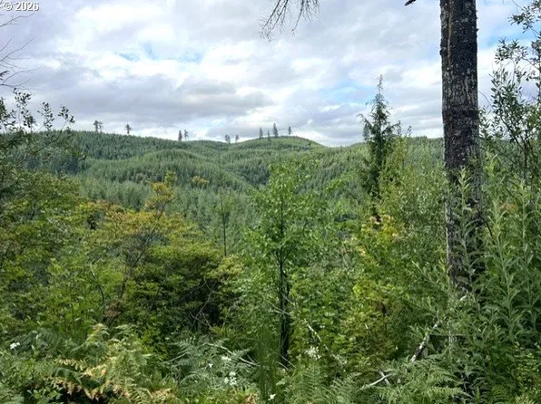 Forest Road Off Timber, Timber, OR 97144
