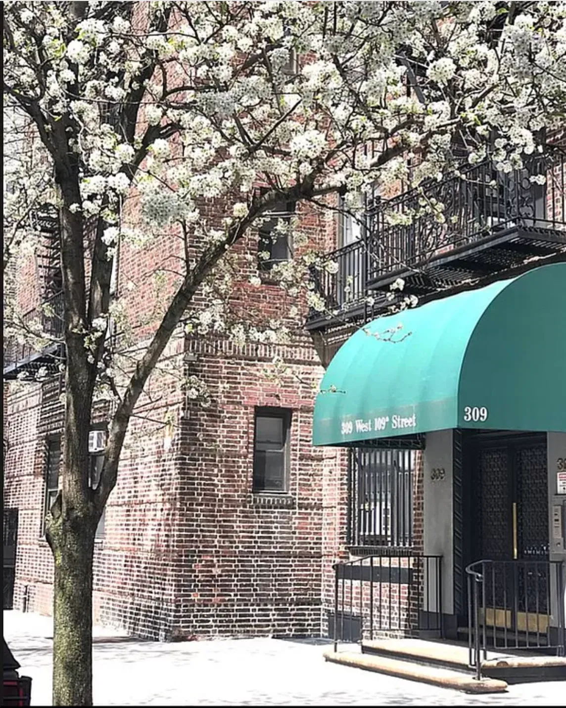 309 West 109th Street #2C in Upper West Side, Manhattan | StreetEasy