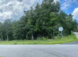 232 S Charles Ave, Inverness, FL 34453