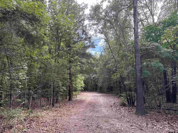 22417 County Road 455, Mineola, TX 75773