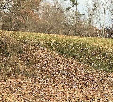 3rd image of 14025 Highway 70 E