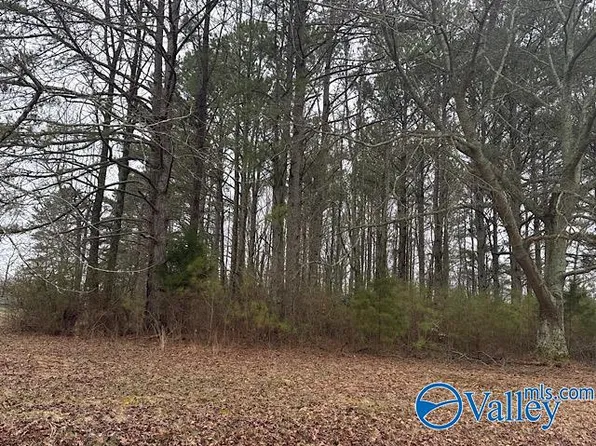 LOT 1 South Rd, Athens, AL 35613