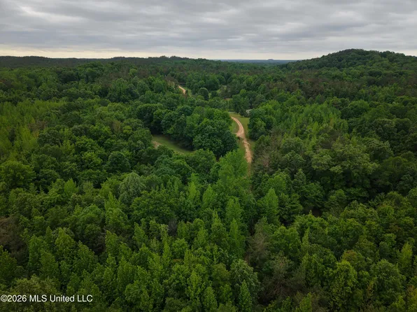 Beechwood Dr, Grenada, MS 38901