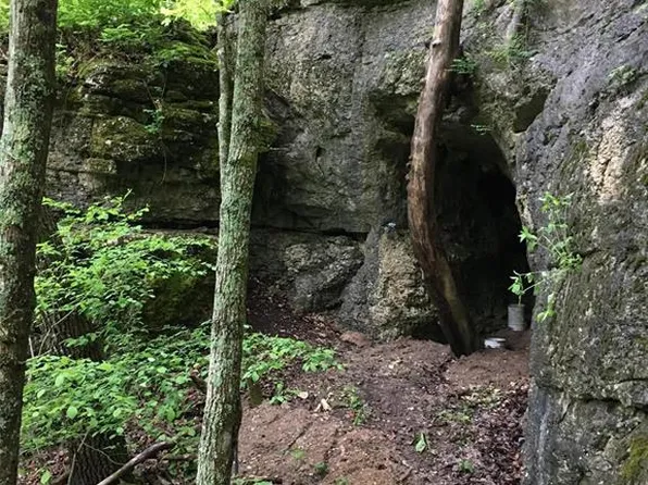 84/AC Buechele Rd, New Florence, MO 63363