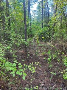 4055 Niagara Carthage Rd, Carthage, NC, 28327