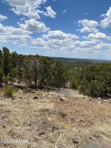 384 Show Low Pnes #10, Concho, AZ, 85924