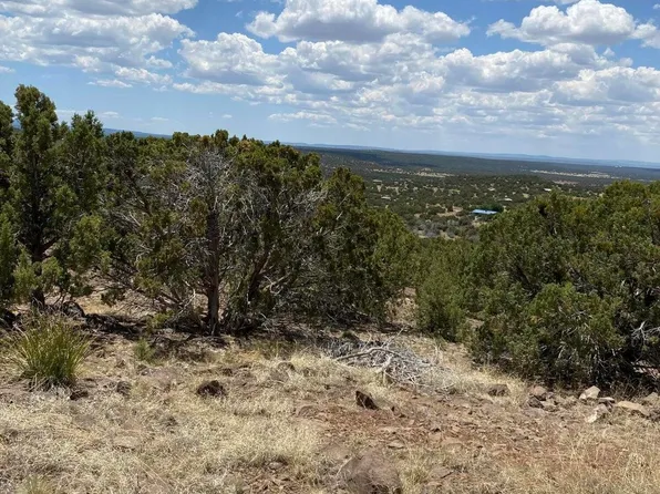 384 Show Low Pnes #10, Concho, AZ 85924