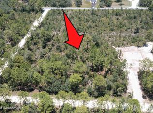 11099 Florida Wren Ave, Weeki Wachee, FL 34614