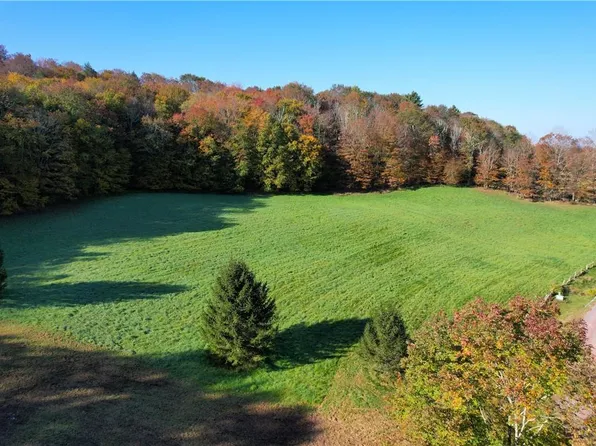 Timber Drive, Cochecton, NY 12720