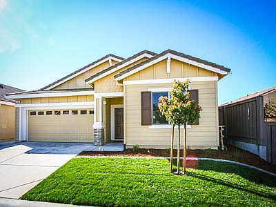 Lot 01.jpg Picture 1