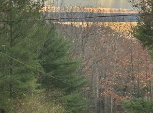 0 Mountain Rd LOT 10, Rapid City, MI 49676