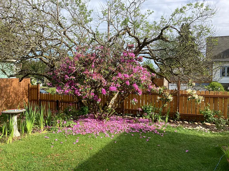 NE 66th Ave — Photo 17