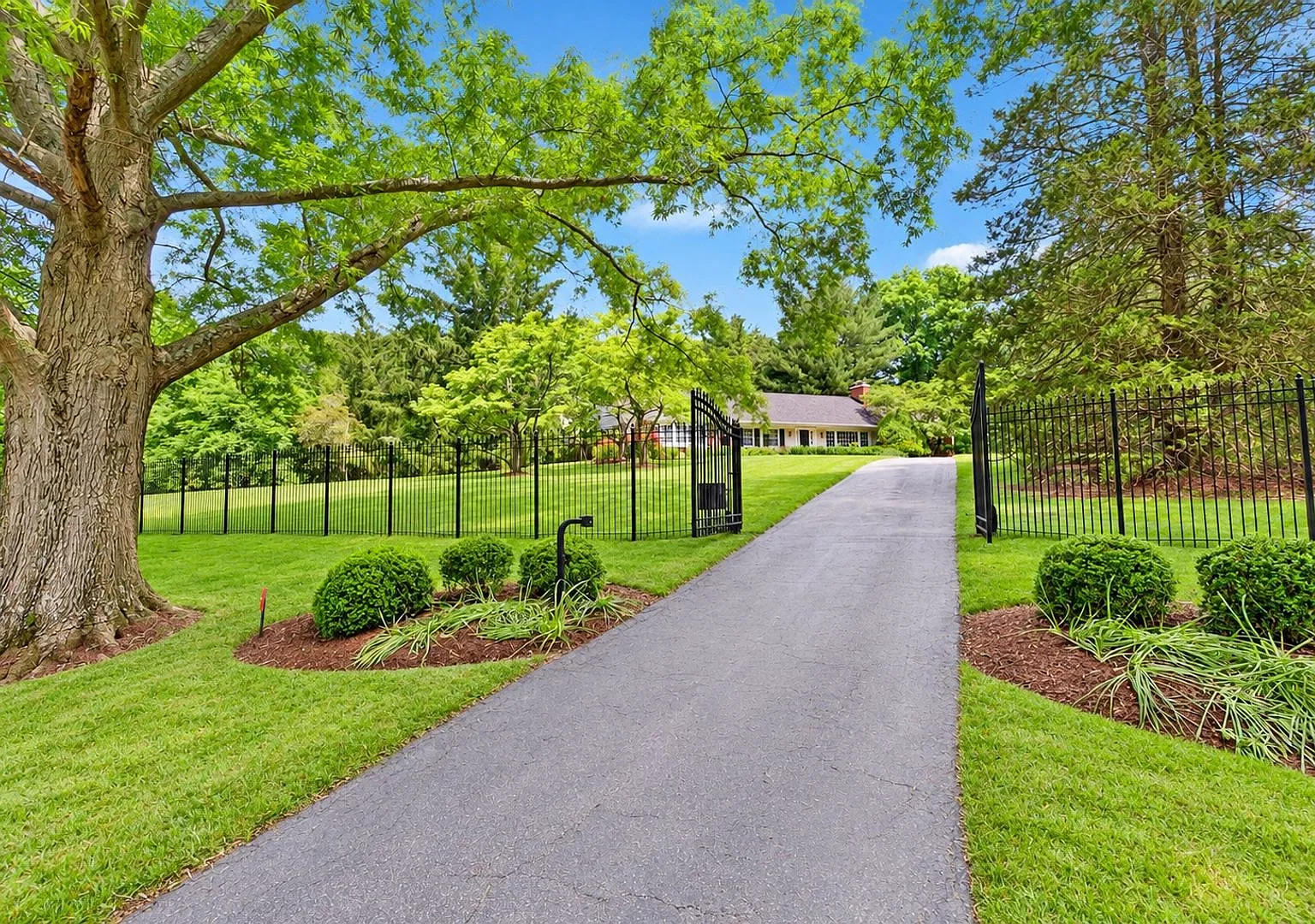 3 Bed 3 Bath - Potomac Falls Rambler - Lawn care included — Photo 1