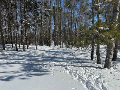 0 E 24th Rd, Cadillac, MI, 49601