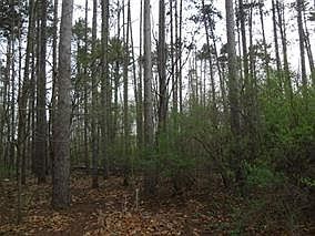 1st image of LOT 18 Brown Deer Dr