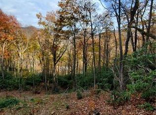 Tbd Chapman Rd #5A-5B, Montreat, NC 28757