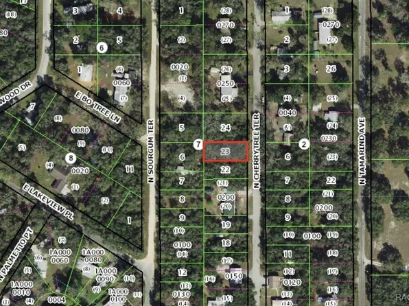 6392 N Cherrytree Ter, Hernando, FL 34442