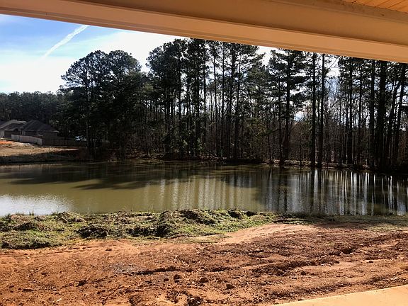 View from the back porch