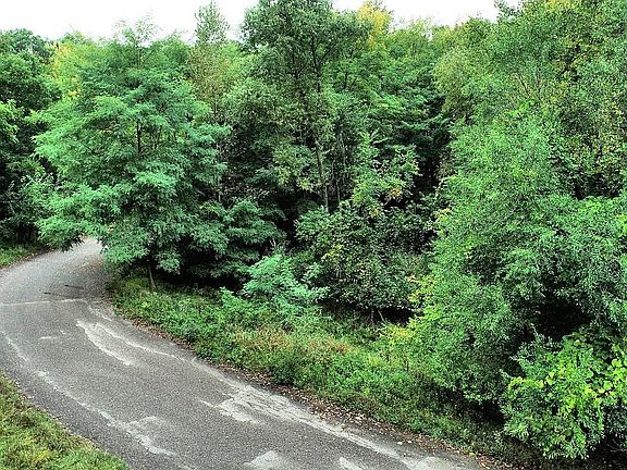 4th image of LOT 1 Sugar Bowl Ln