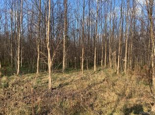 N Gravel Rd, Medina, NY 14103