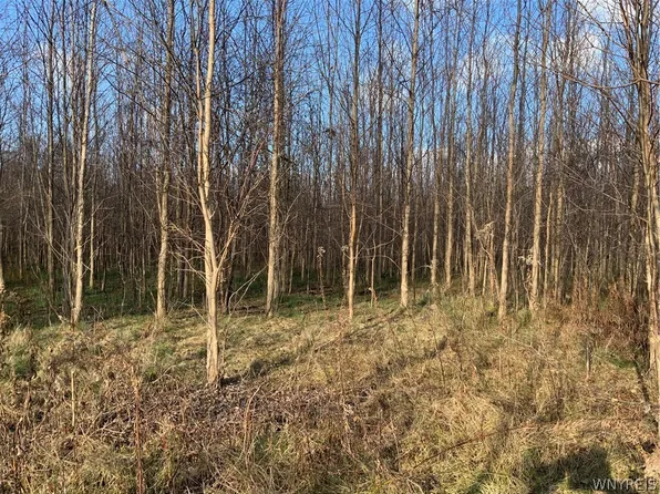 N Gravel Rd, Medina, NY 14103