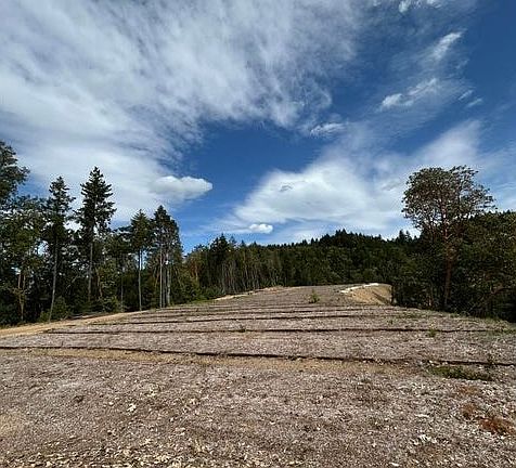 3rd image of O Redwood Hwy
