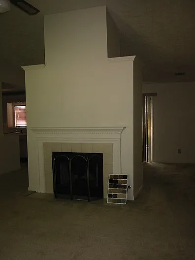 3795 Willow Ridge Rd — Photo 5