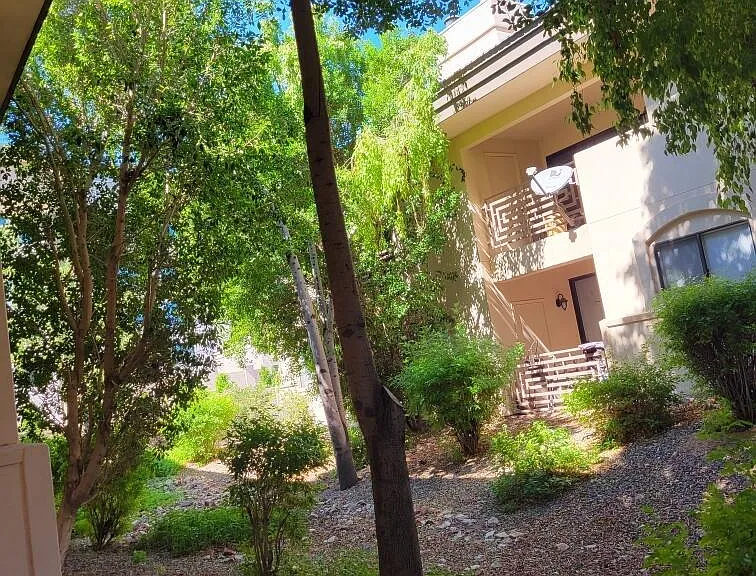 3235 E Camelback Rd #107 — Photo 3