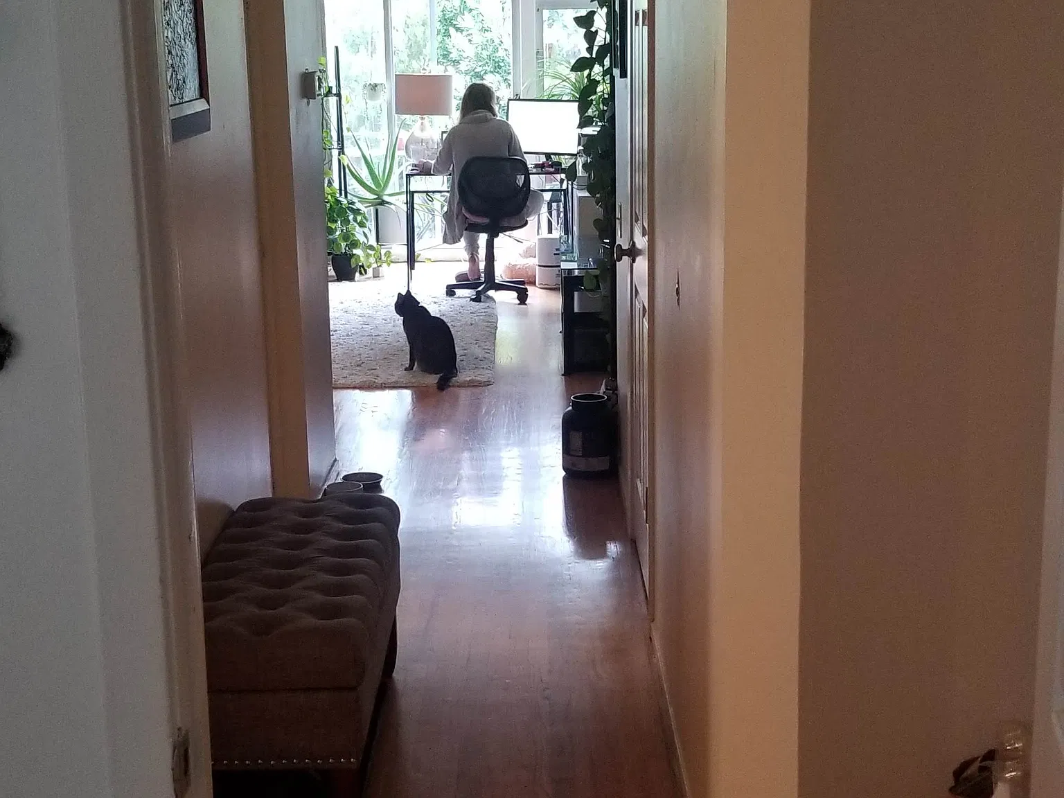 1 bed, 625 sqft, $4,475 — Photo 4