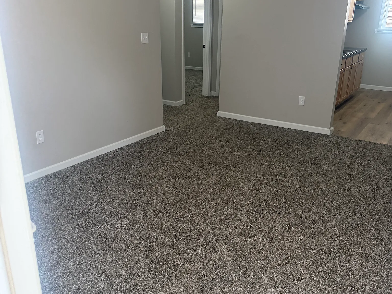 2 bed, 800 sqft, $1,000 — Photo 4