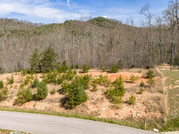 LOT 47 Homestead Dr, Unicoi, TN 37692