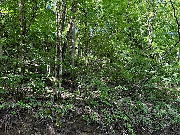 4th image of 0 Spring Creek Rd