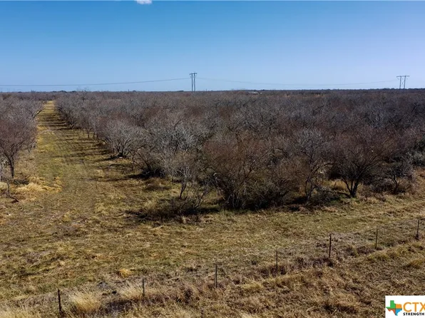 W Fannin St Tract A, Goliad, TX 77963